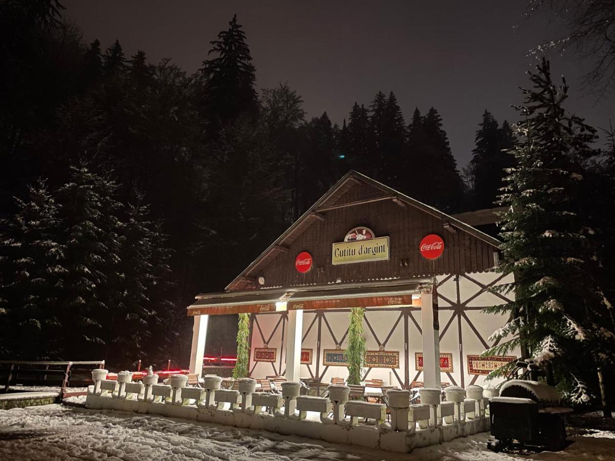 Vila De Argint Aleea Pelesului Nr 2 Sinaia Eksteriør bilde