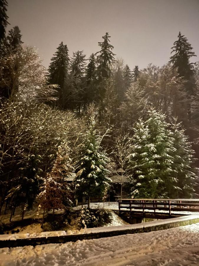 Vila De Argint Aleea Pelesului Nr 2 Sinaia Eksteriør bilde