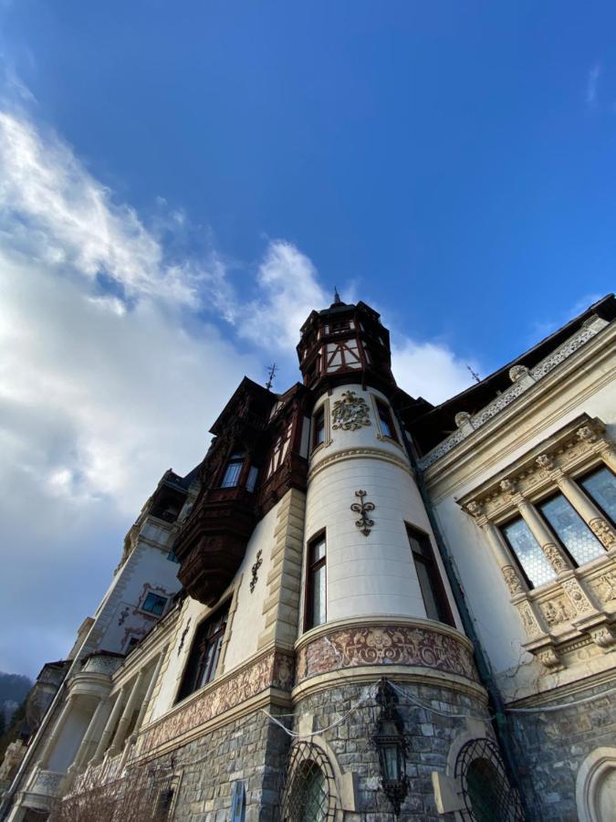 Vila De Argint Aleea Pelesului Nr 2 Sinaia Eksteriør bilde