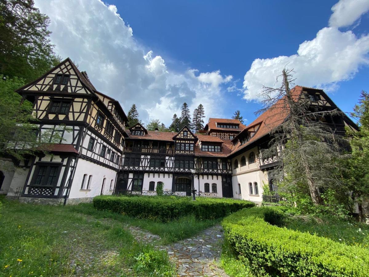 Vila De Argint Aleea Pelesului Nr 2 Sinaia Eksteriør bilde