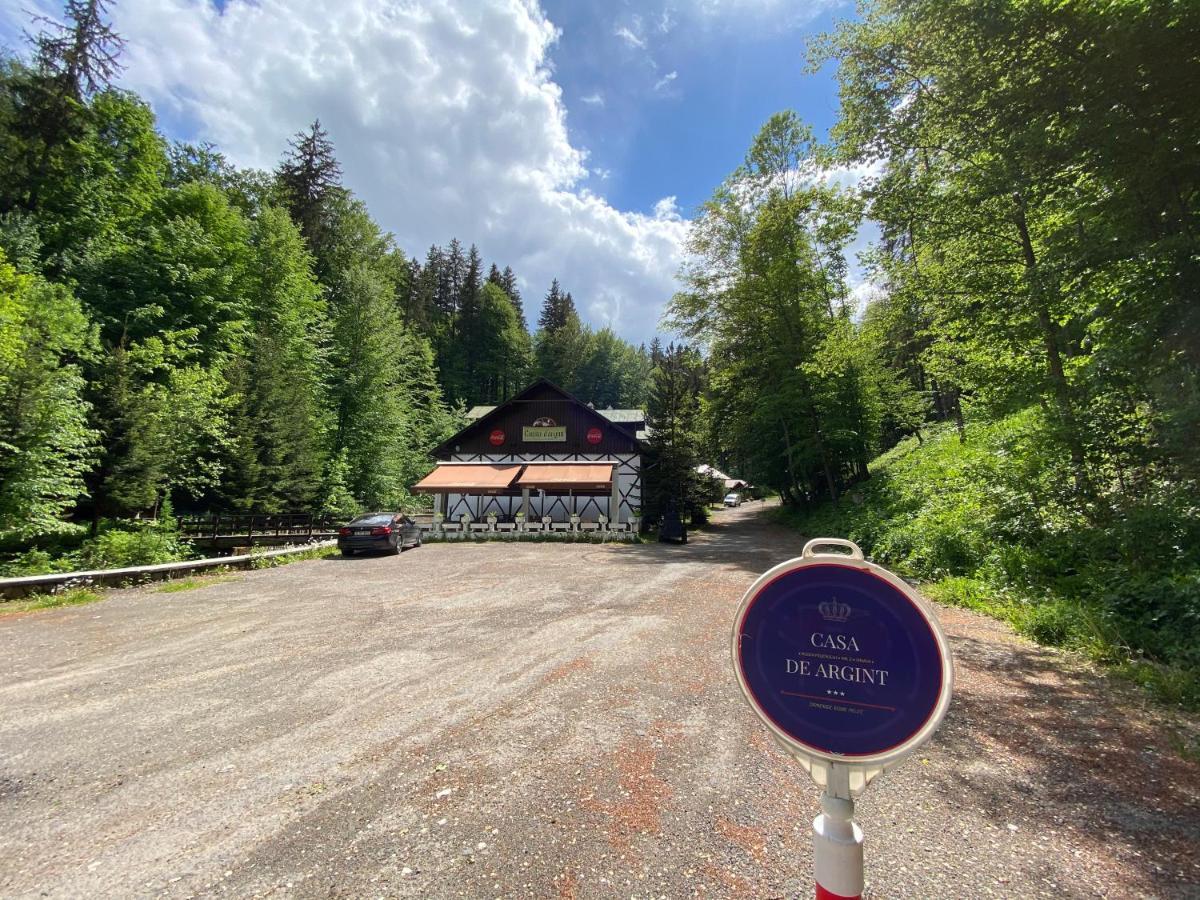 Vila De Argint Aleea Pelesului Nr 2 Sinaia Eksteriør bilde