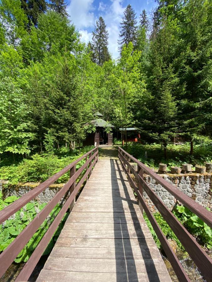 Vila De Argint Aleea Pelesului Nr 2 Sinaia Eksteriør bilde