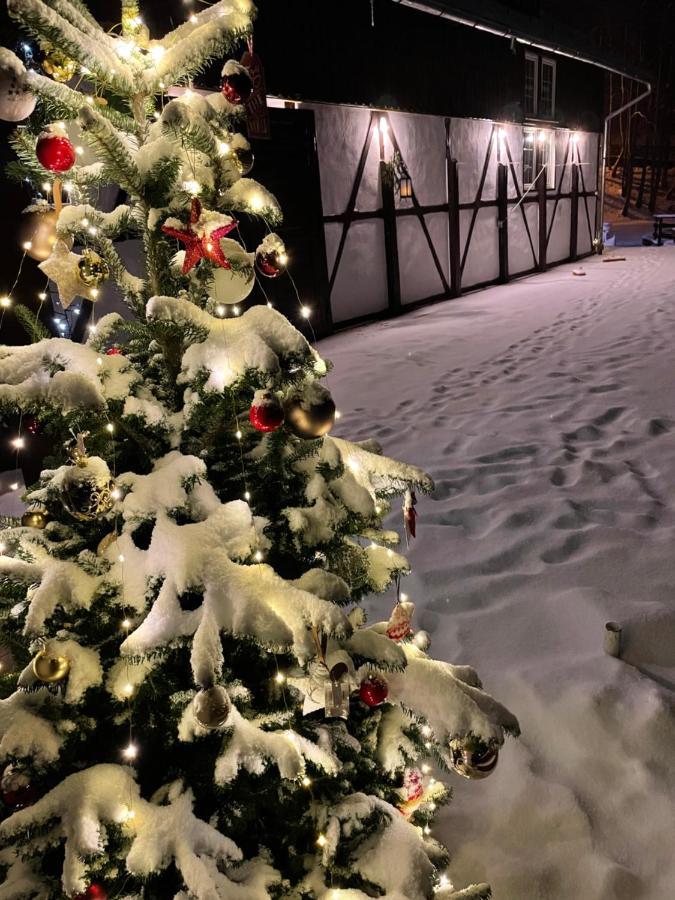Vila De Argint Aleea Pelesului Nr 2 Sinaia Eksteriør bilde