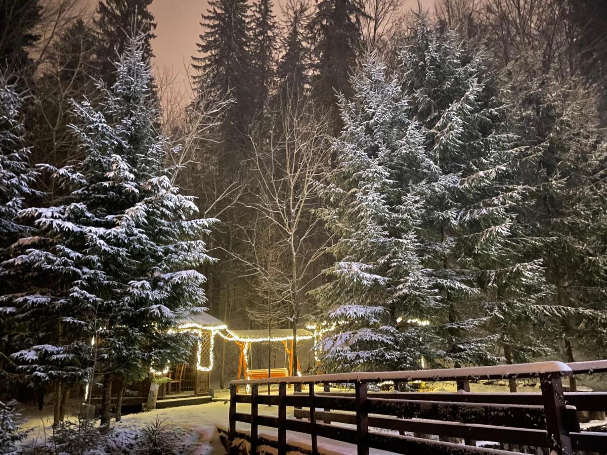 Vila De Argint Aleea Pelesului Nr 2 Sinaia Eksteriør bilde