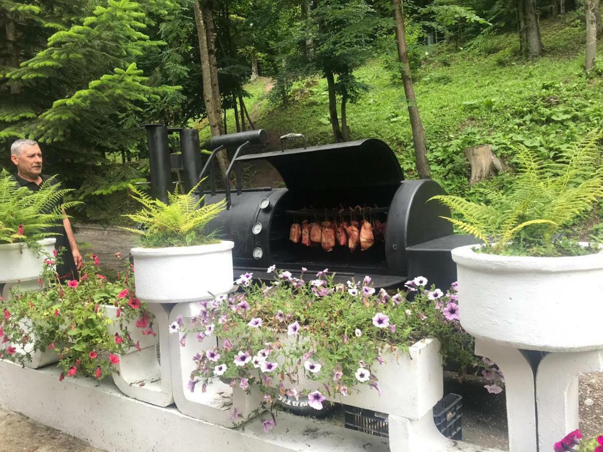 Vila De Argint Aleea Pelesului Nr 2 Sinaia Eksteriør bilde