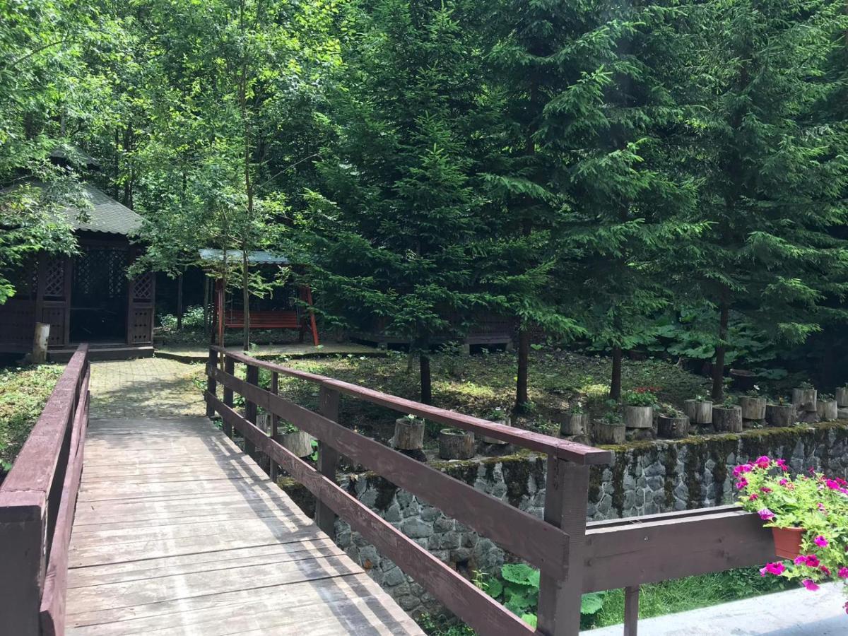 Vila De Argint Aleea Pelesului Nr 2 Sinaia Eksteriør bilde